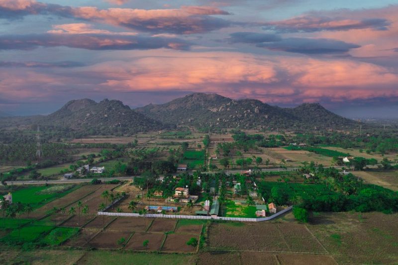 Bird Eye View