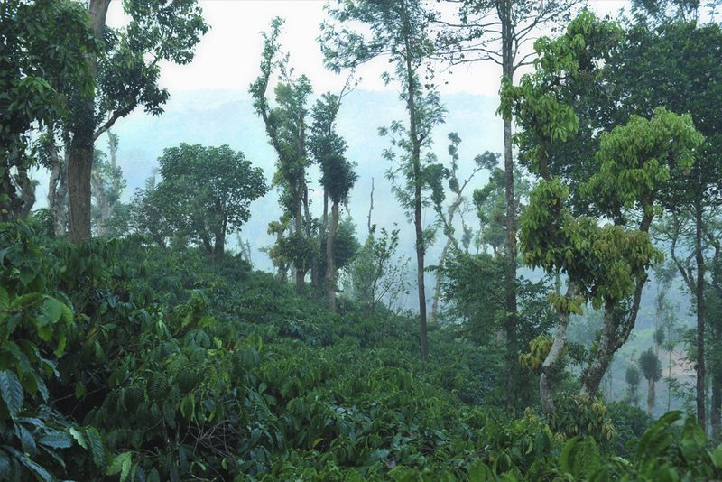 Meriyanda Nature Retreat