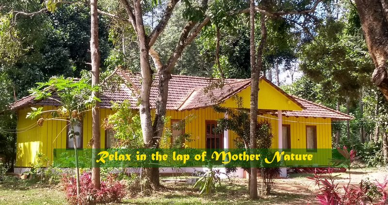 River Tern Homestay
