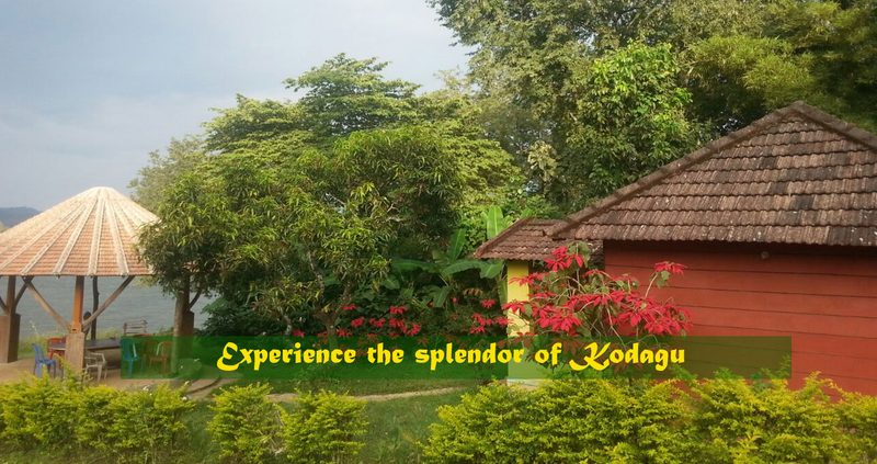 River Tern Homestay