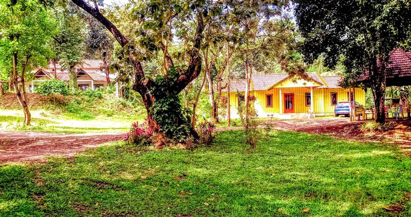 River Tern Homestay