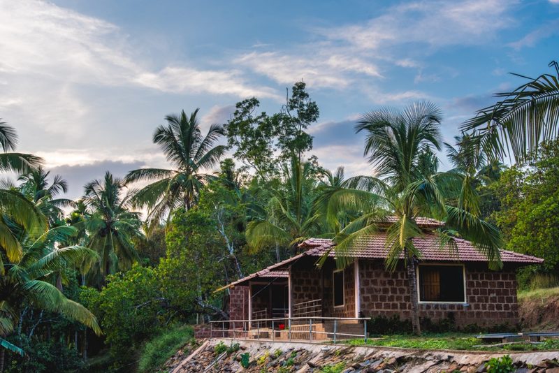 Dandeli Jungle Resorts