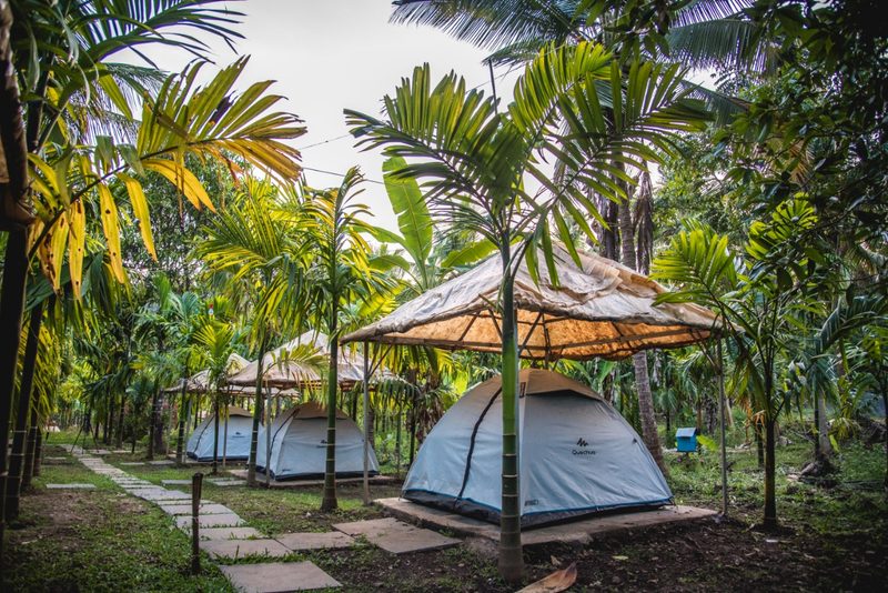 Dandeli Jungle Resorts