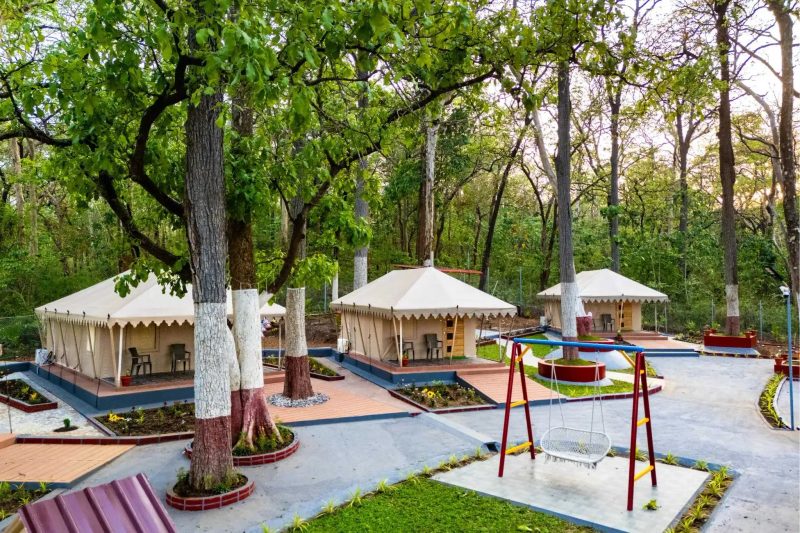 Forest Safari Retreat