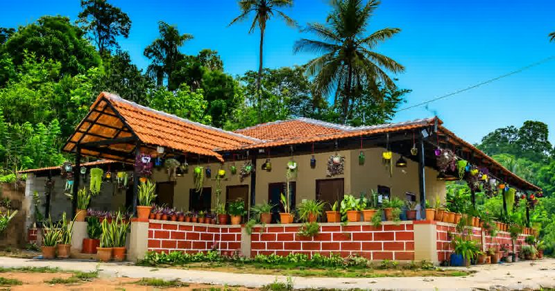 Coorg Coffee Bunch