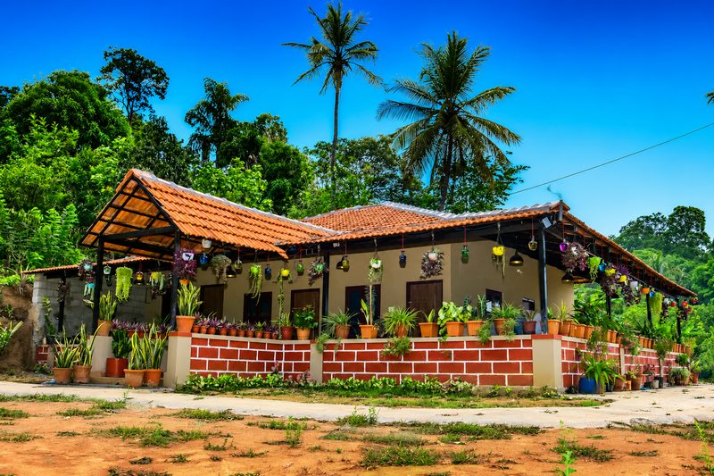 Coorg Coffee Bunch