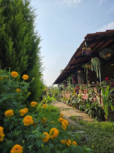 Coorg Coffee Bunch