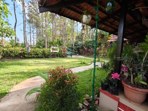 Coorg Coffee Bunch
