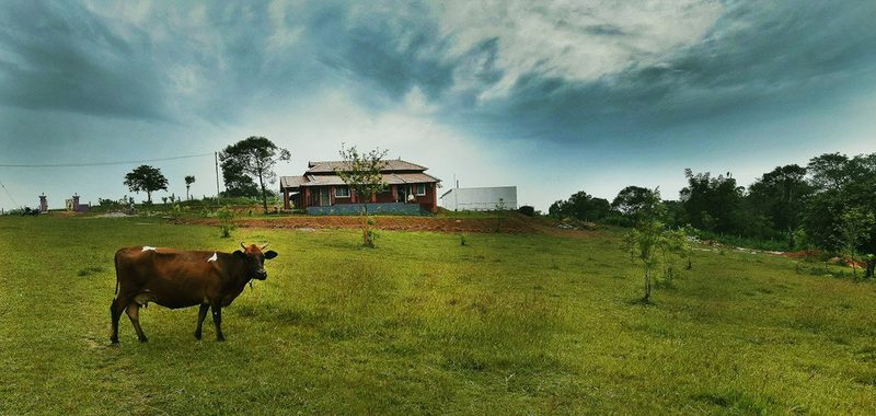 Misty Mountains Homestay