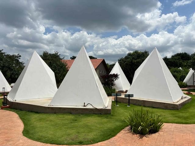 The Costus Tent