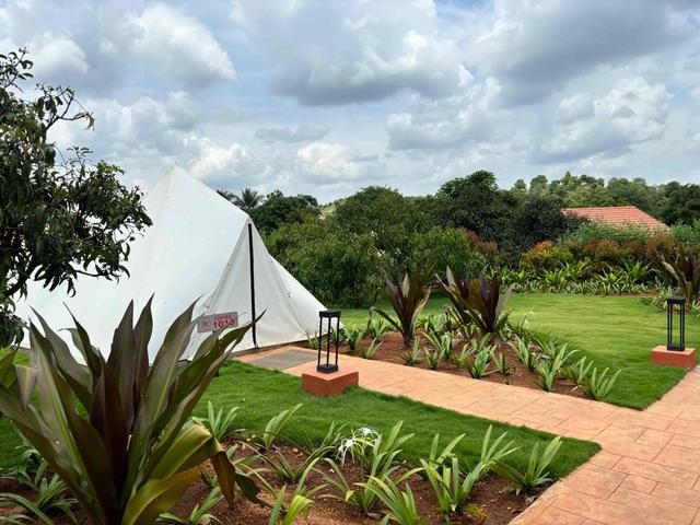 The Foxtail Tent