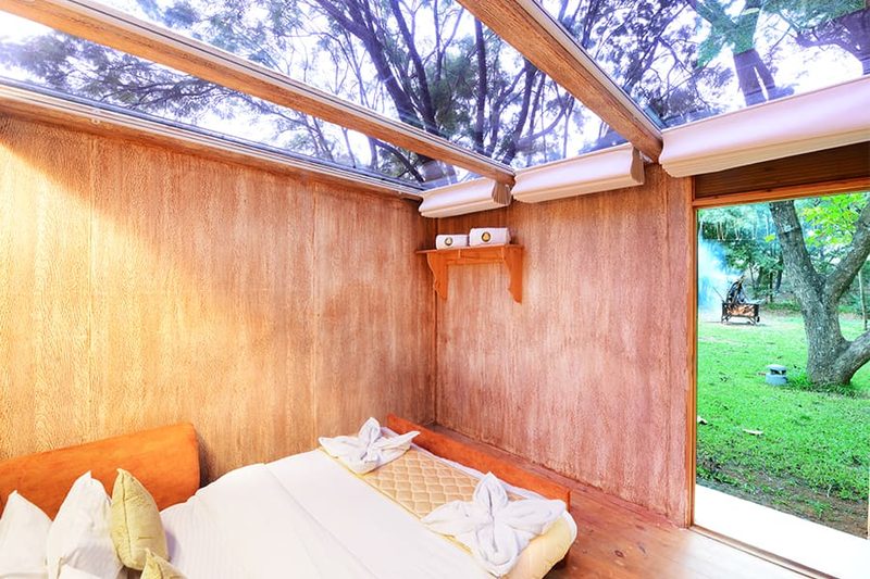 Camping Rooms under a glass roof canopy