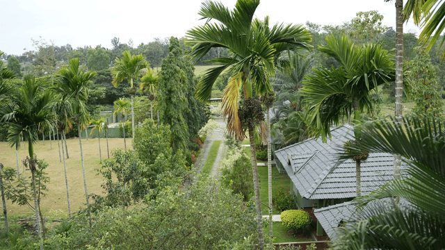 Palm Era Cottages