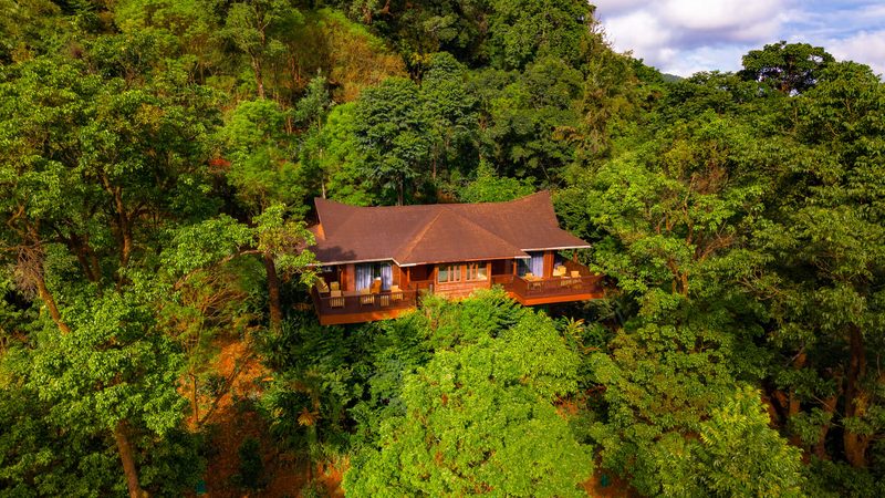 The Tamara Coorg