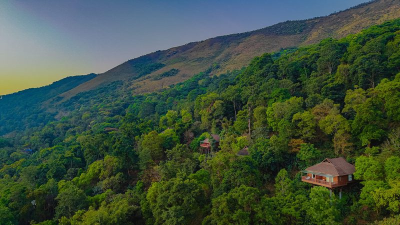 The Tamara Coorg