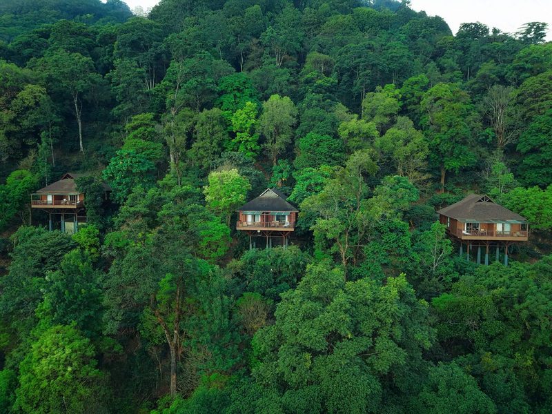 The Tamara Coorg