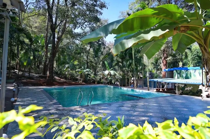 Dandeli Forest Escapes