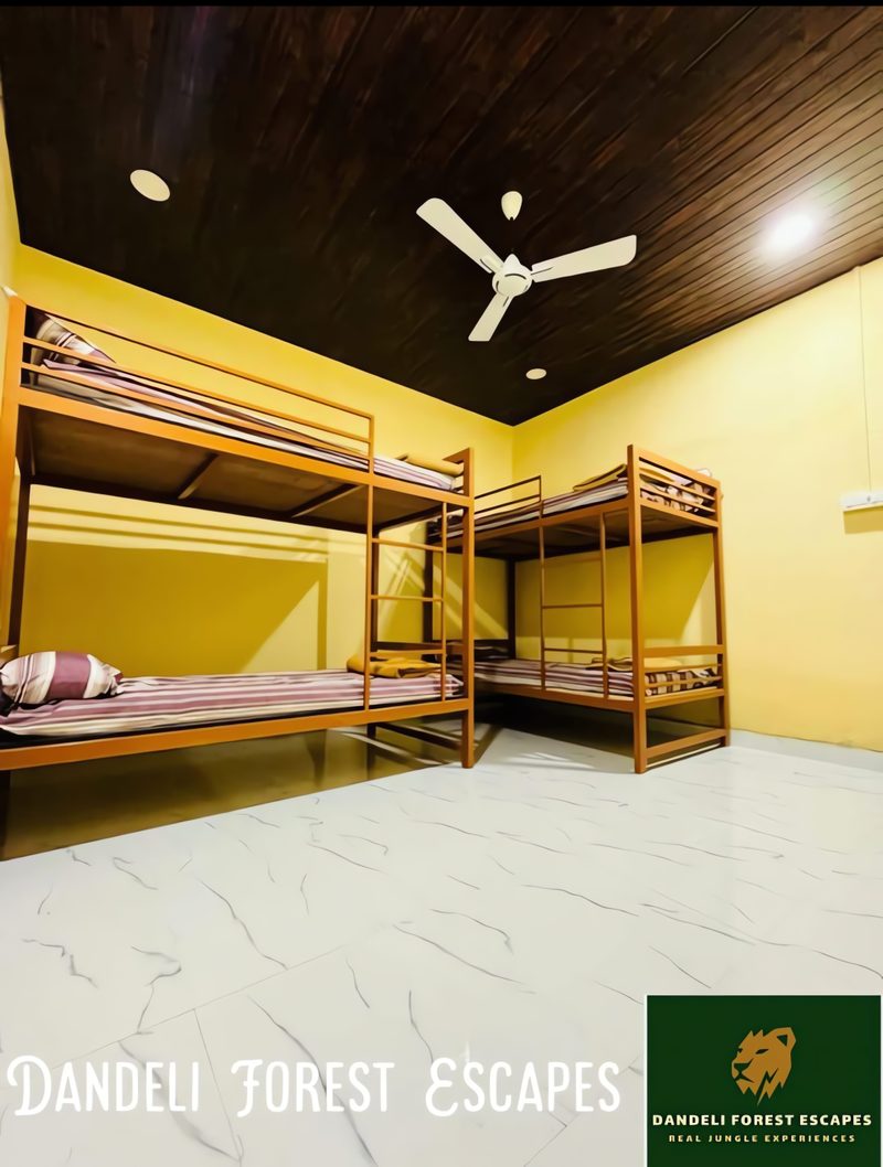 Standard Dormitory Rooms
