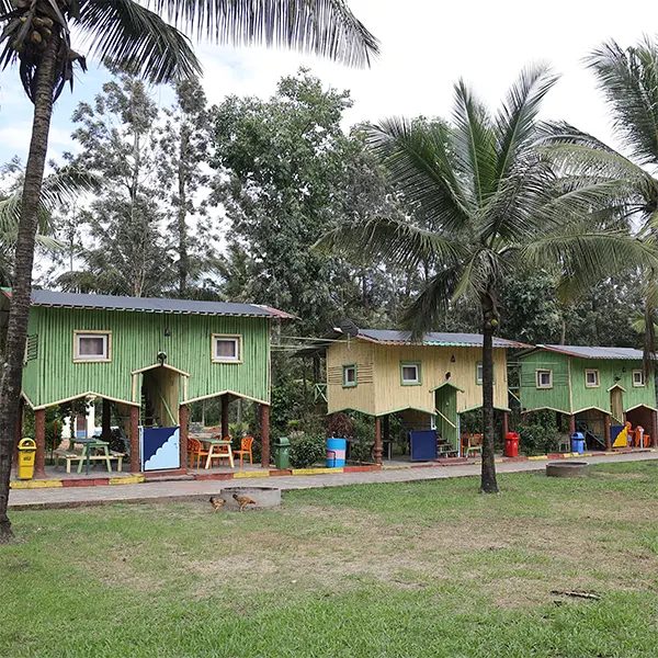 Bamboo Tree House