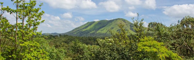 Mookanana Jungle Resort & Spa