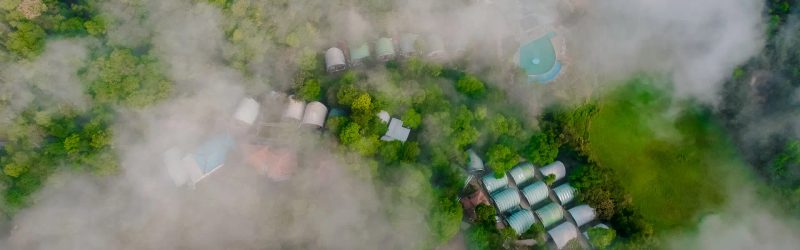 Mookanana Jungle Resort & Spa