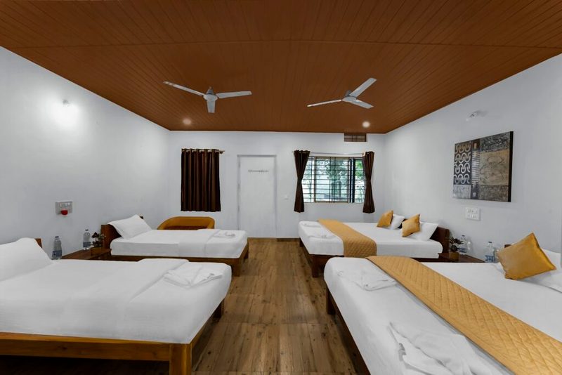 Standard Family Room