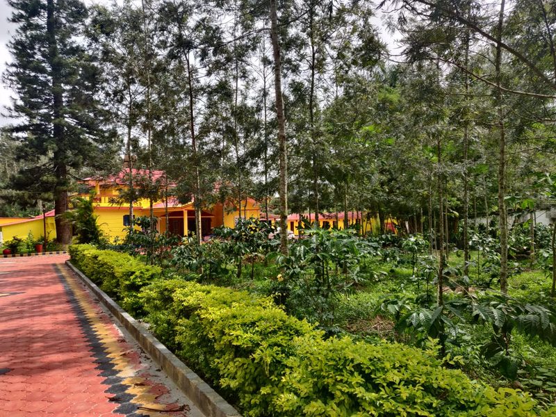 CoffeeBean Villa