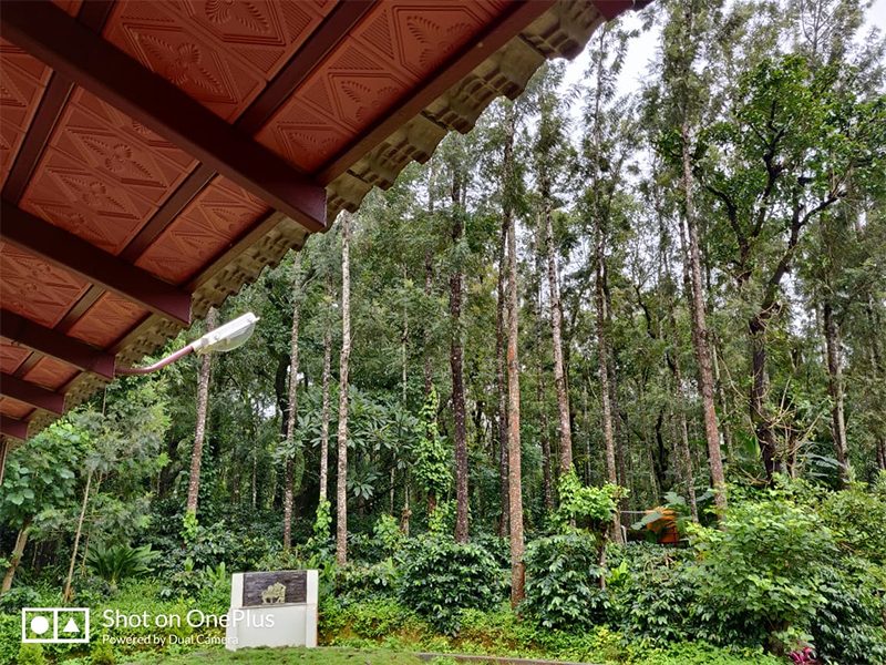 Hill Crest Homestay