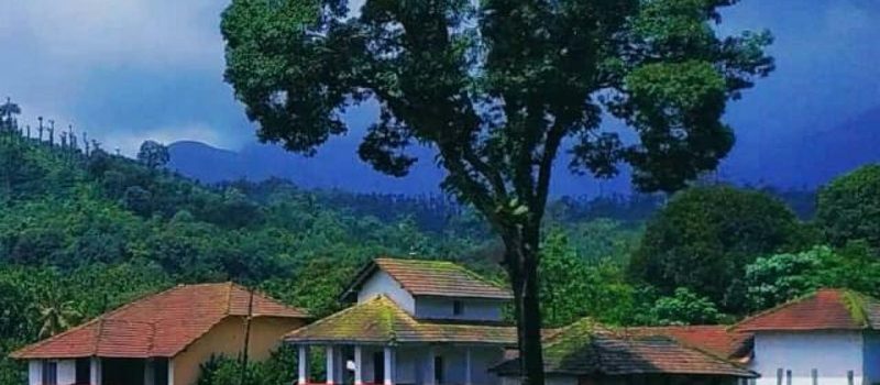 Double Room with Mountain View