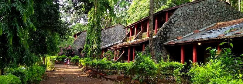 Bison River Resort