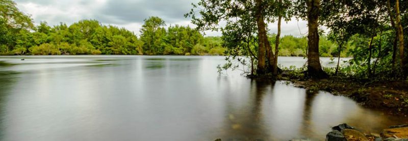 Bison River Resort