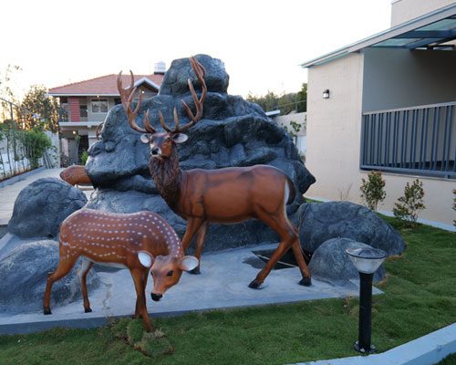 Stag Life Homestay