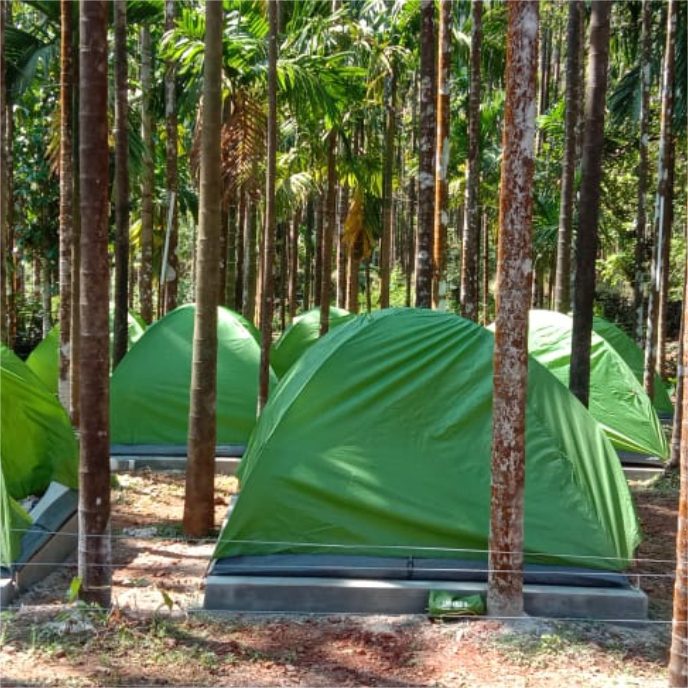 Arceanut Tent Stay
