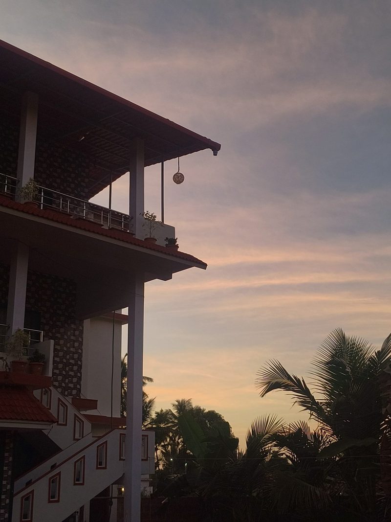 Lopez Paradise