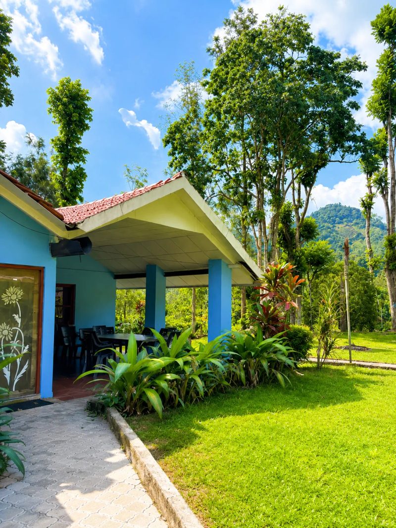 Forest Homestay