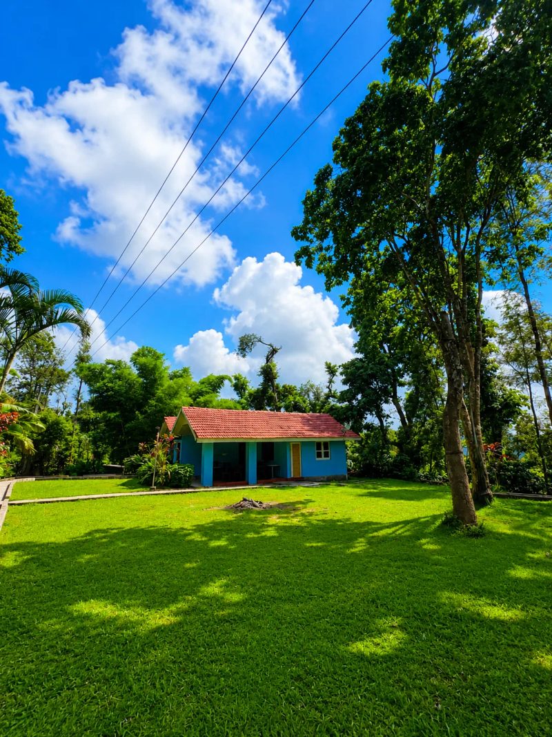 Forest Homestay