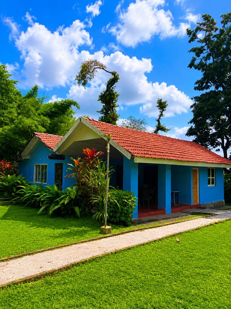 Forest Homestay