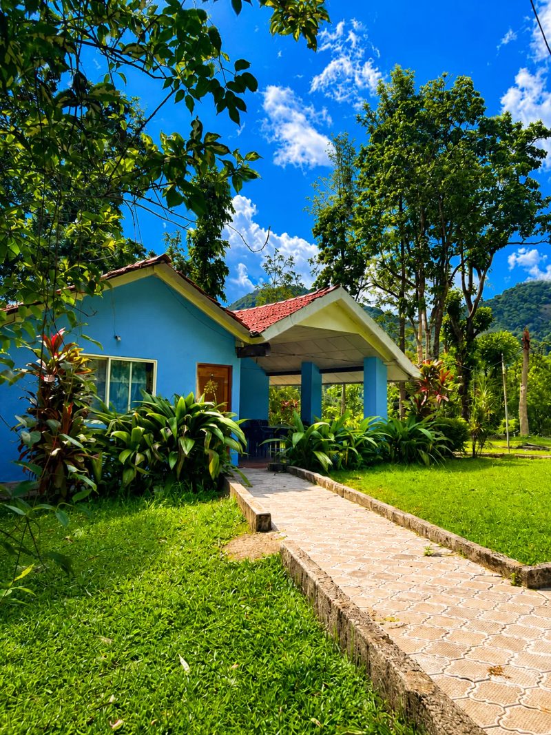 Forest Homestay