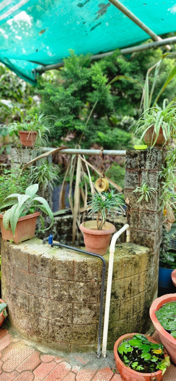 Vaibhav Estate & Home Stay