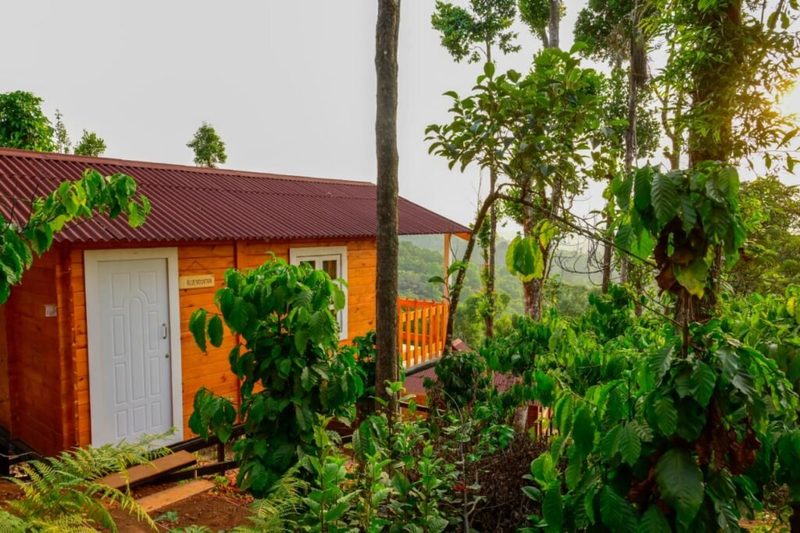 Exquisite independent wooden cottage with view