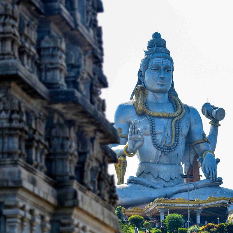 Shree Hari Residency