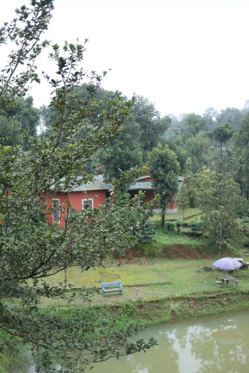 Yedamakky Plantation
