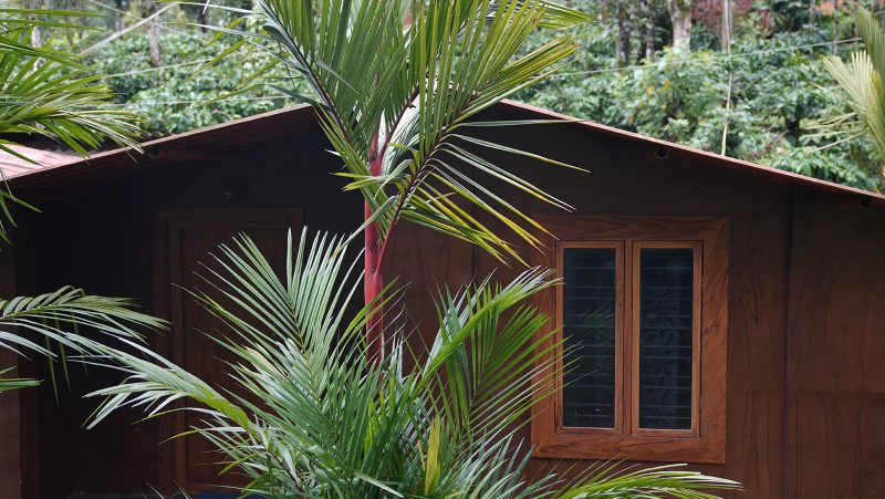 Village Hut Rooms