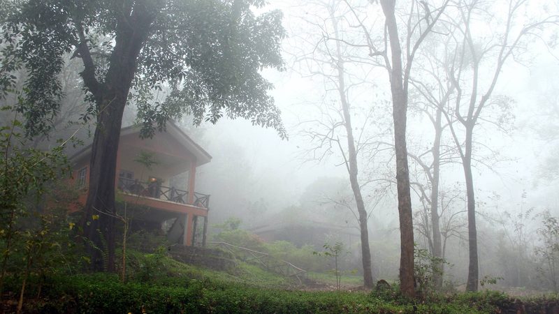 Hornbill River Resort
