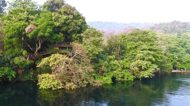 Hornbill River Resort