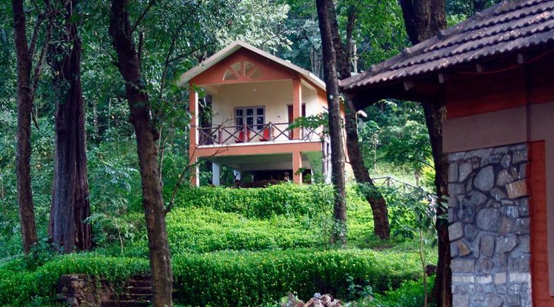 Regular Cottages