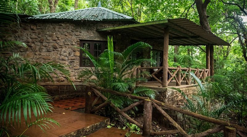 Rock House