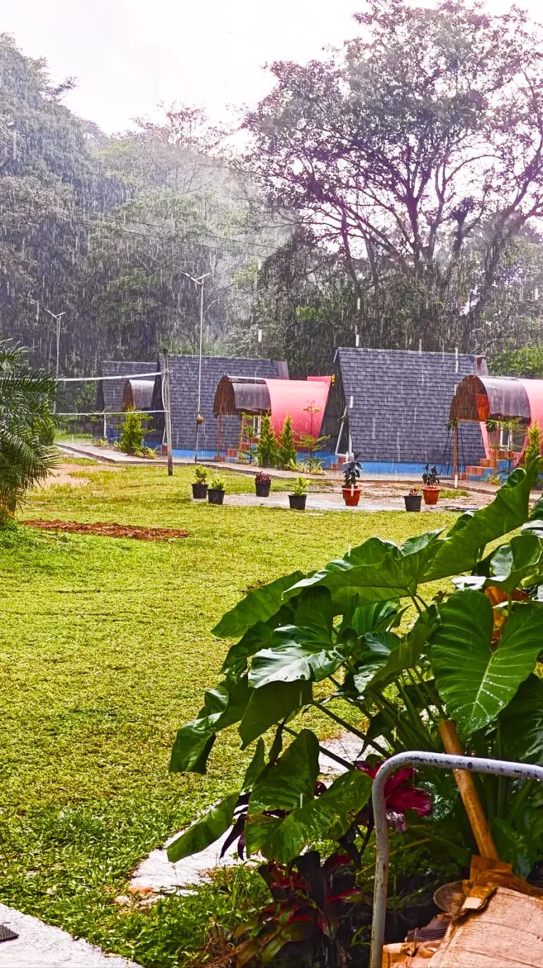 Tusker Valley