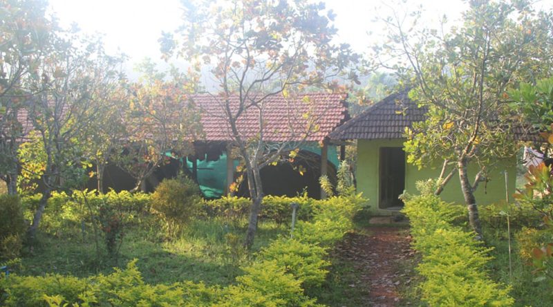 Amara Homestay