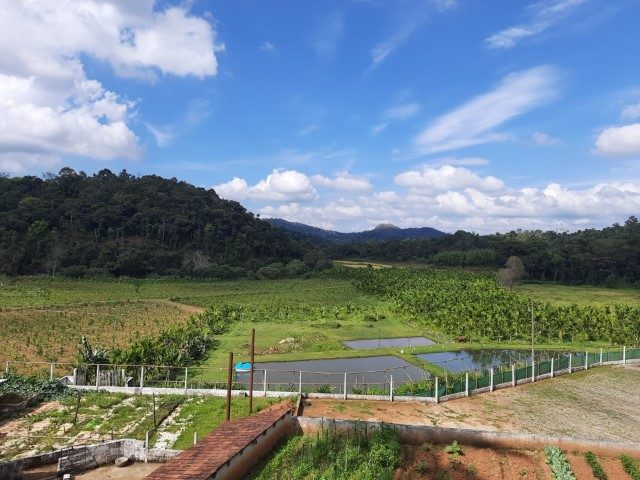 MakkiThitta Home Stay